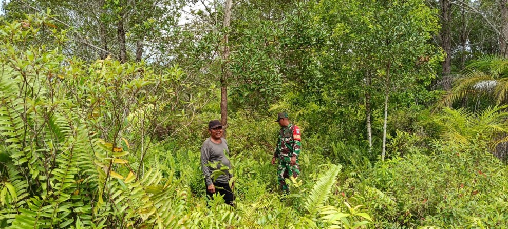 Tanpa Titik Api, Patroli Babinsa di Merbau Perkuat Pencegahan Karhutla Sejak Dini