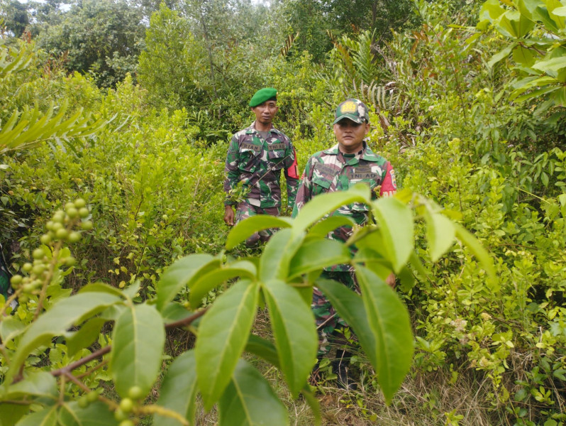 Sinergi Babinsa dan Warga Desa Semukut untuk Mencegah Karhutla