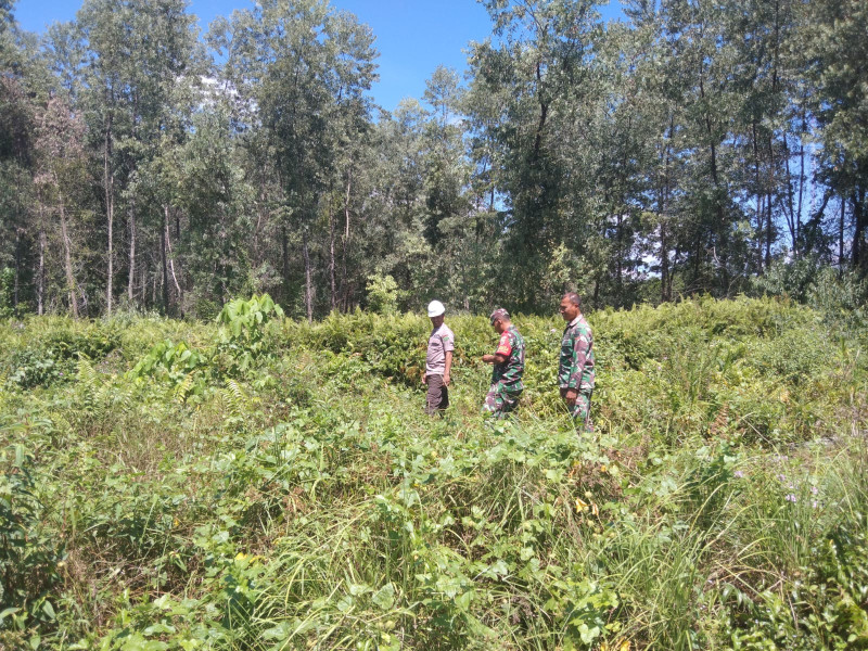 Komsos Rutin Cegah Karhutla Dari Babinsa Koramil 06 Merbau