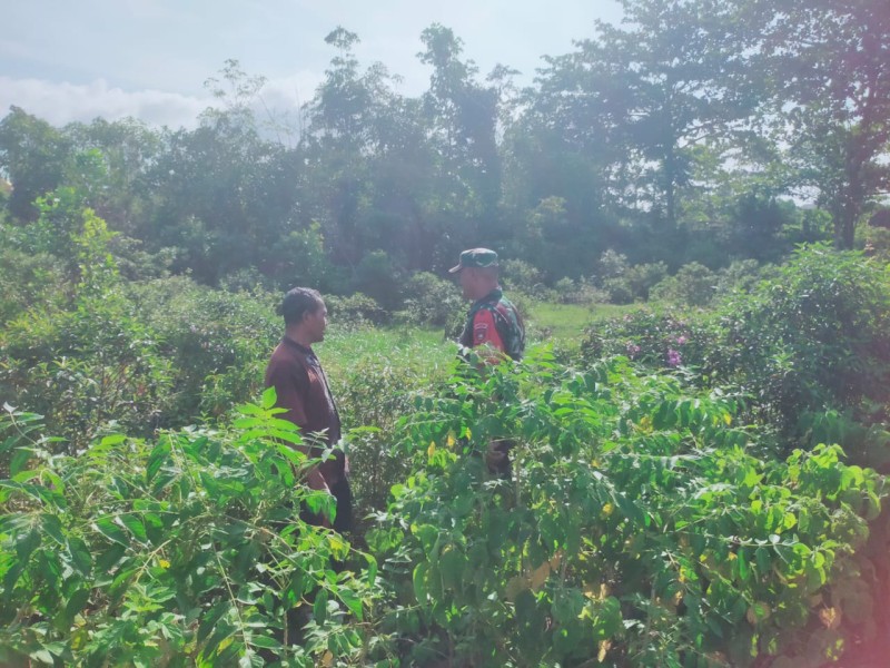 Sertu Ansari Pimpin Patroli Karhutla, Tidak Ditemukan Titik Api