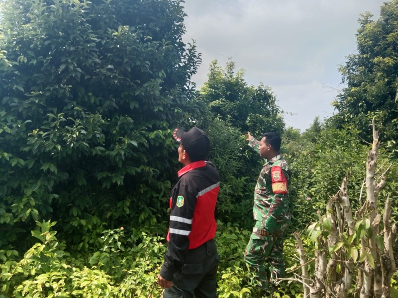 Praka Rahmad Laksanakan Patroli Rutin Untuk Cegah Kebakaran Hutan dan Lahan