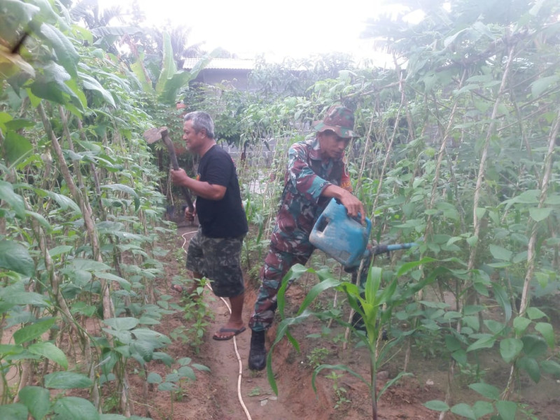 Pastikan Tumbuh Dengan Baik dan Subur, Sertu Nono Dampingi Penanaman Sayur Kacang Panjang