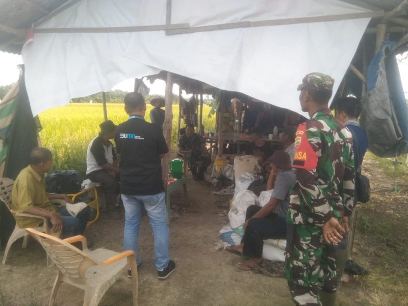 Komsos dengan Petani, Babinsa Bahas Tantangan dan Solusi Pertanian