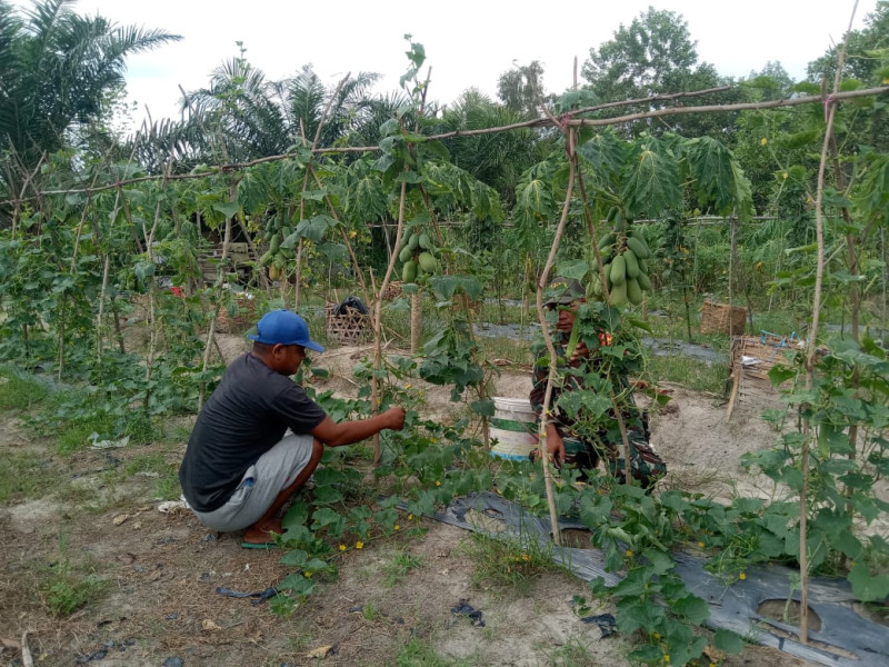 Serka Suandi Sampaikan Kepada Petani Mengenai Tata Cara Penanaman Yang Baik