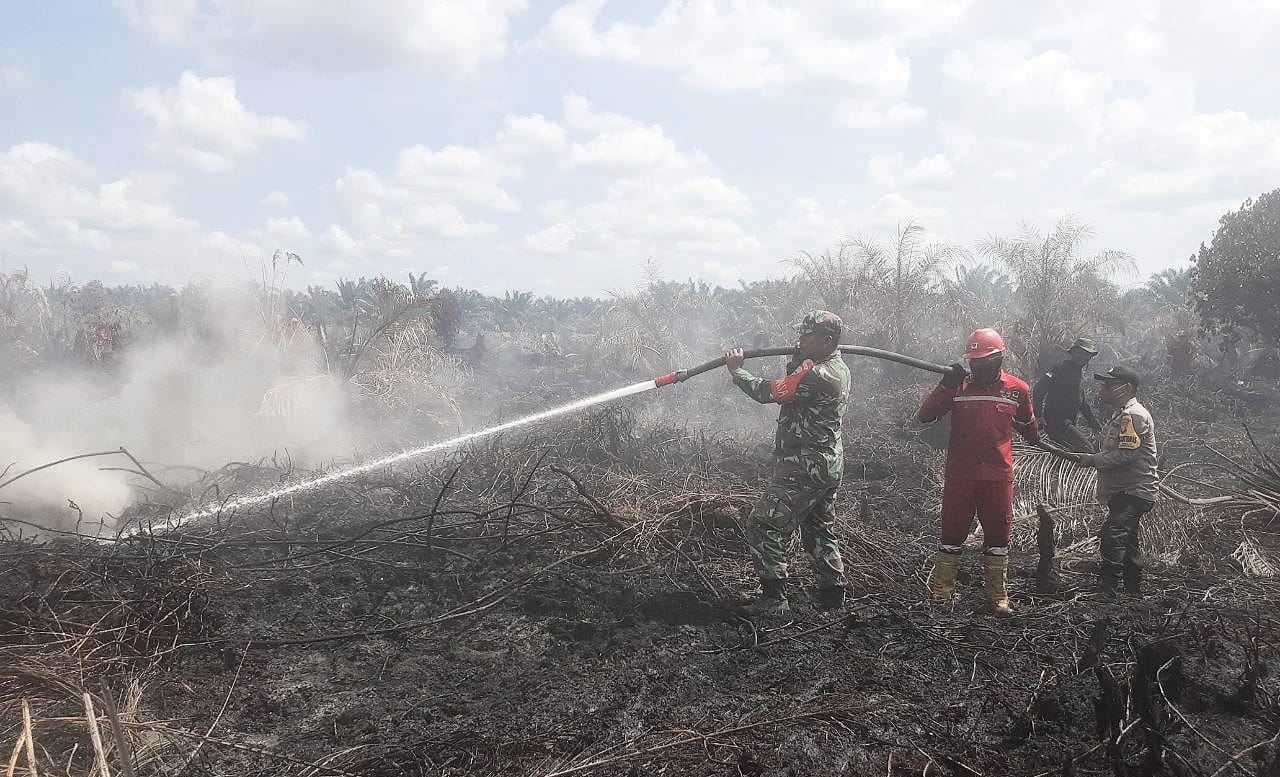 Lahan Milik Perkebunan Kebakaran