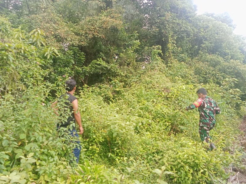 Babinsa Koramil 06/Merbau Intensifkan Patroli Karhutla di Desa Tanjung Pisang