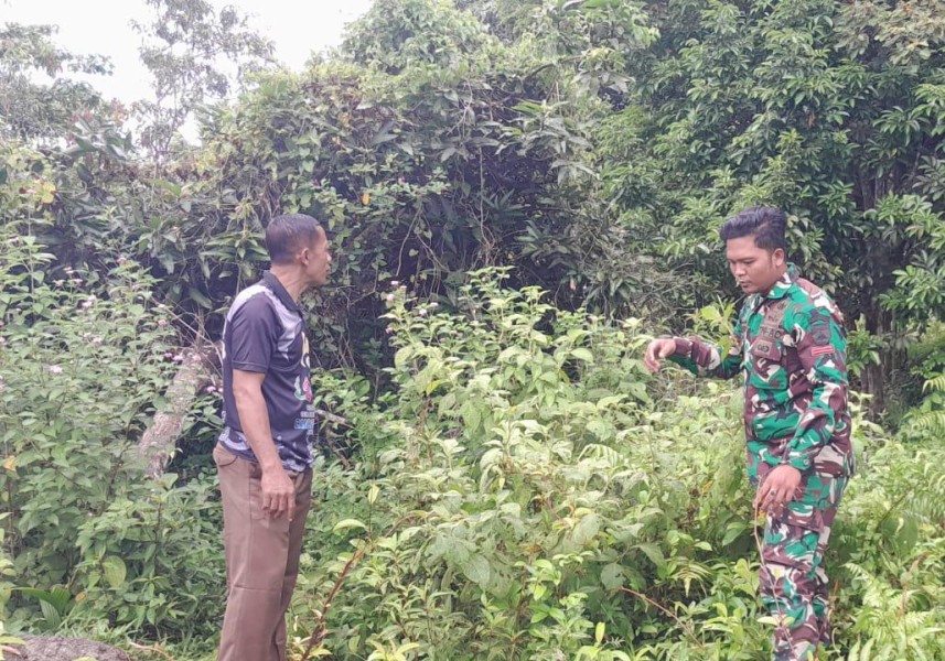 Patroli Rutin Babinsa Tingkatkan Kesadaran Warga Soal Larangan Membakar Lahan