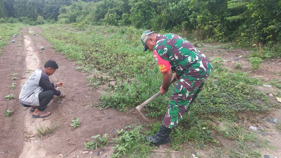 Bersama Petani, Babinsa Bantu Pendampingan Karya Nyata