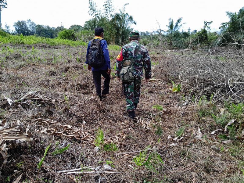 Serma F Purba dari Koramil 01/Dumai Lakukan Patroli Karhutla di Dumai Selatan