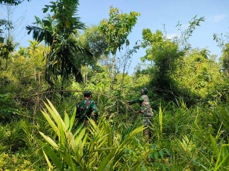 Pencegahan Karhutla di Pulau Merbau, Babinsa Lakukan Patroli Rutin