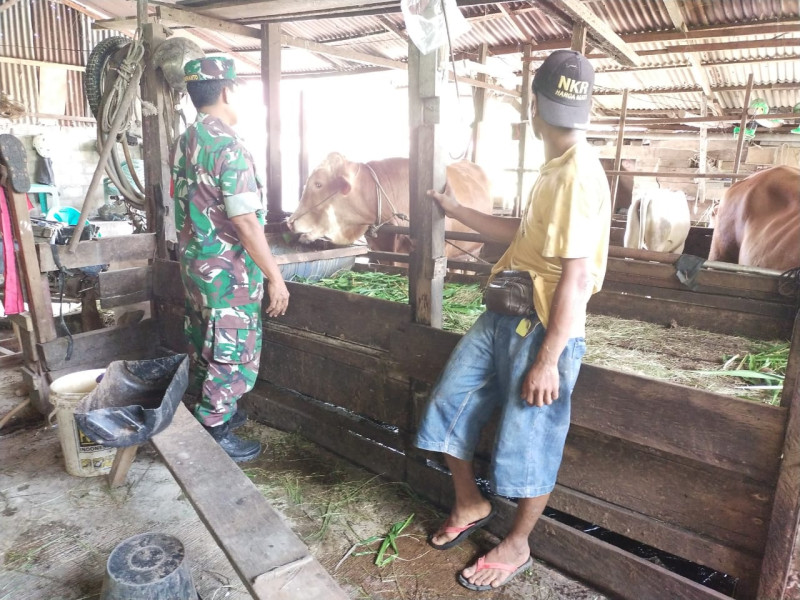 Babinsa Koramil 03/Sungai Sembilan Aktif Dalam Giat Sosialisasi Pencegahan PMK