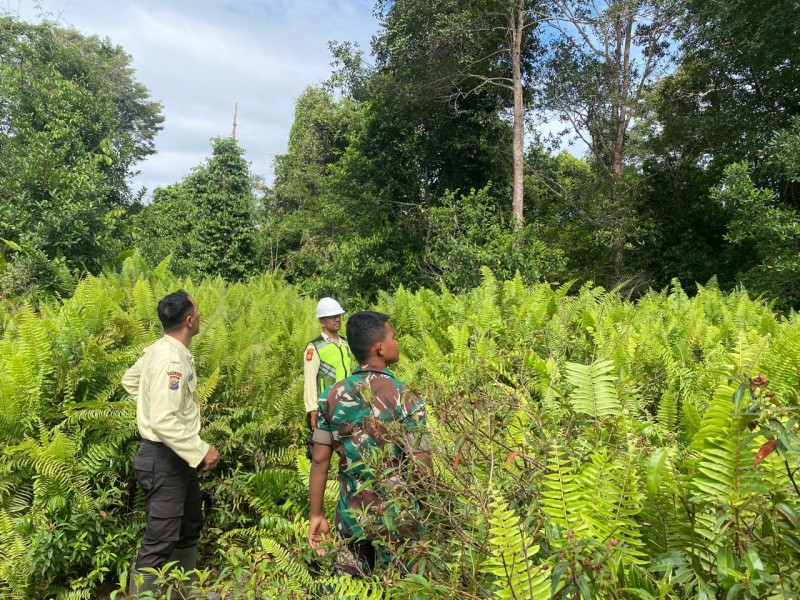 Cegah Asap, Babinsa Koramil 06/Merbau Ajak Warga Bersatu Jaga Hutan Selat Akar