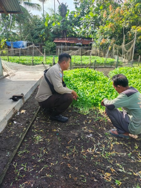Ketahanan Pangan Nasional Diperkuat Melalui Pengecekan Pekarangan Bergizi oleh Bhabinkamtibmas Purnama