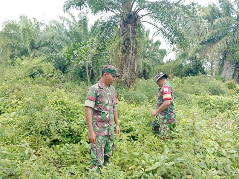 Babinsa Bersinergi dengan Aparat dan Warga Cegah Karhutla di Mekar Delima