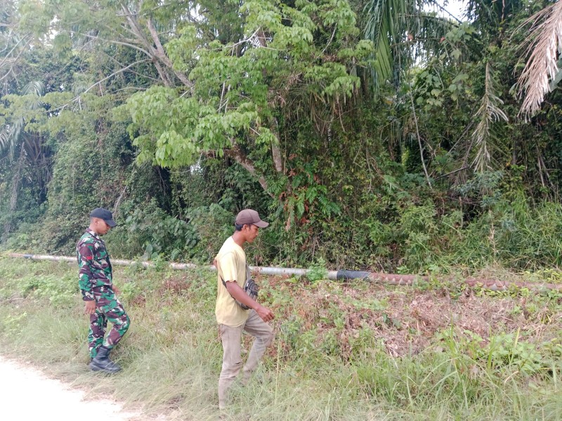 Langkah Preventif Babinsa Koramil 06/Merbau dalam Menjaga Kelestarian Hutan di Kecamatan Tasik Putri Puyu