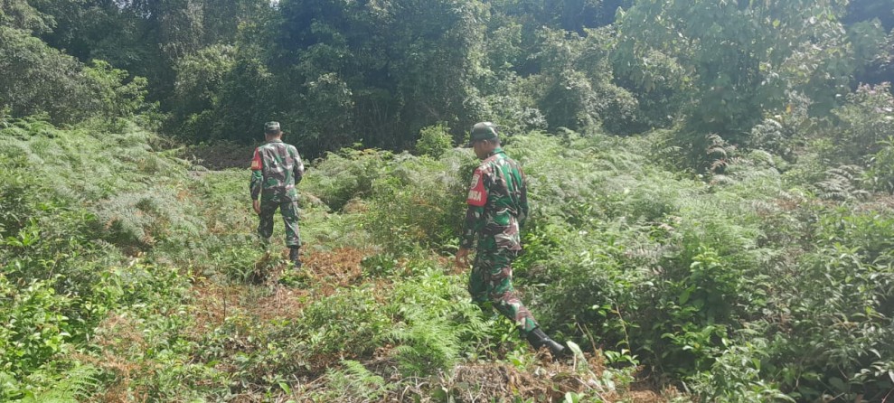 Patroli dan Komsos, Babinsa Tegaskan Bahaya Karhutla di Desa Binaan