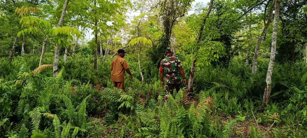 Patroli Karhutla Babinsa Koramil 06/Merbau Pastikan Wilayah Mekar Sari Aman dari Titik Api
