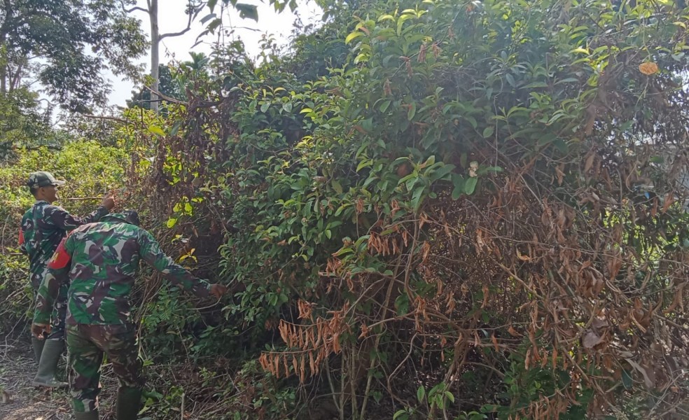 Babinsa Koramil 06/Merbau Ajak Lindungi Lingkungan, Jangan Bakar Hutan dan Lahan
