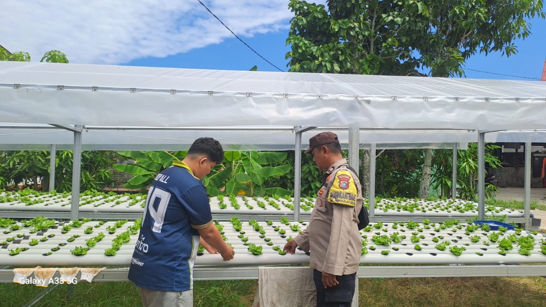 Ketahanan Pangan Jadi Perhatian, Bhabinkamtibmas Aktif Dampingi Petani di Dumai Barat