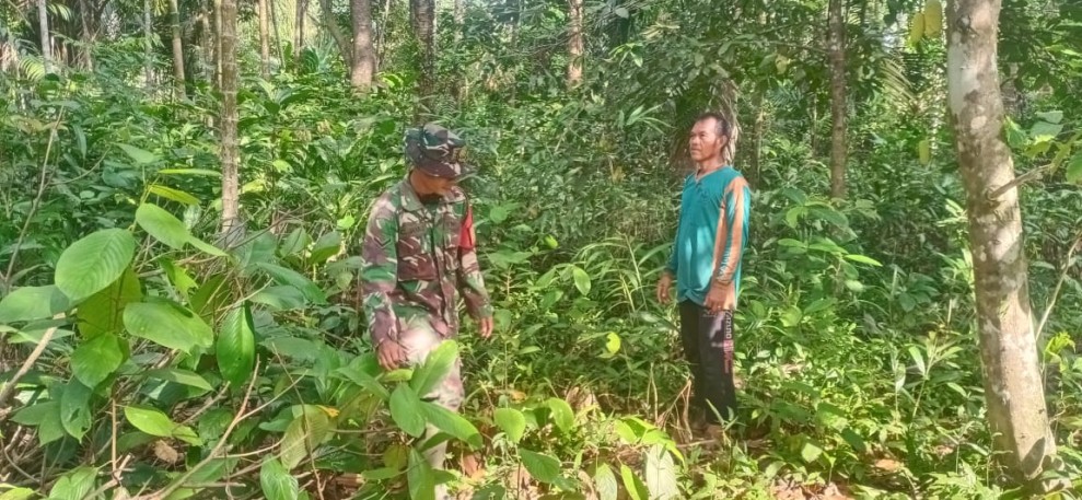 Antisipasi Kebakaran Hutan dan Lahan, Babinsa Koramil 06/Merbau Perkuat Patroli Pencegahan di Mayang Sari