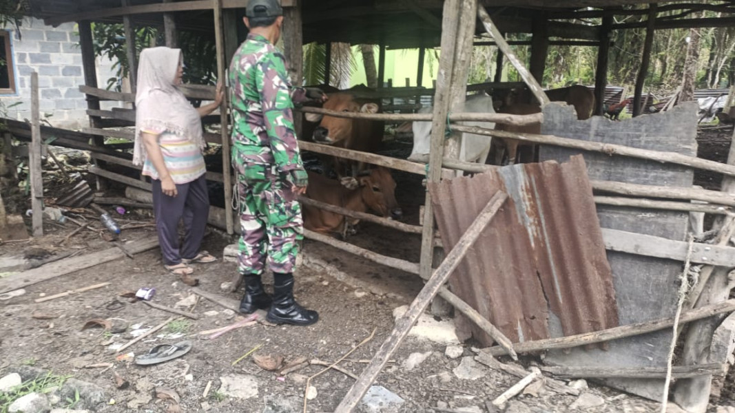Babinsa Bukit Kapur Sosialisasikan Gejala dan Pencegahan PMK kepada Pemilik Ternak Sapi