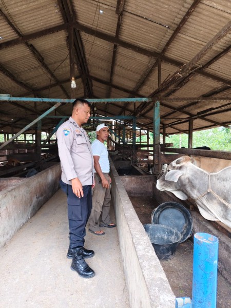 Dukung Program Presiden, Bhabinkamtibmas Dumai Barat Kawal Sektor Peternakan Rakyat Mendukung Ketahanan Pangan