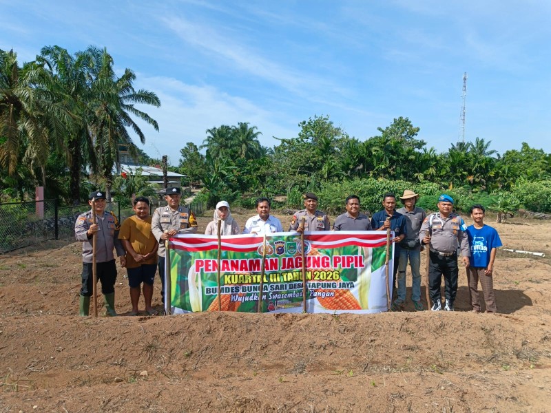 Polsek Tandun Tanam Jagung 1 Hektare di Desa Tapung Jaya Dukung Ketahanan Pangan Nasional
