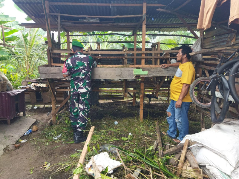 Jaga Kesehatan Ternak, Babinsa Edukasi Peternak di RT 20 Dumai Selatan