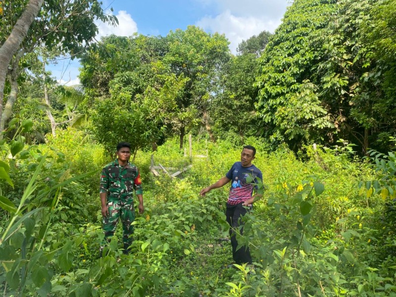 Babinsa Koramil 06/Merbau Sosialisasikan Larangan Bakar Lahan di Mengkirau