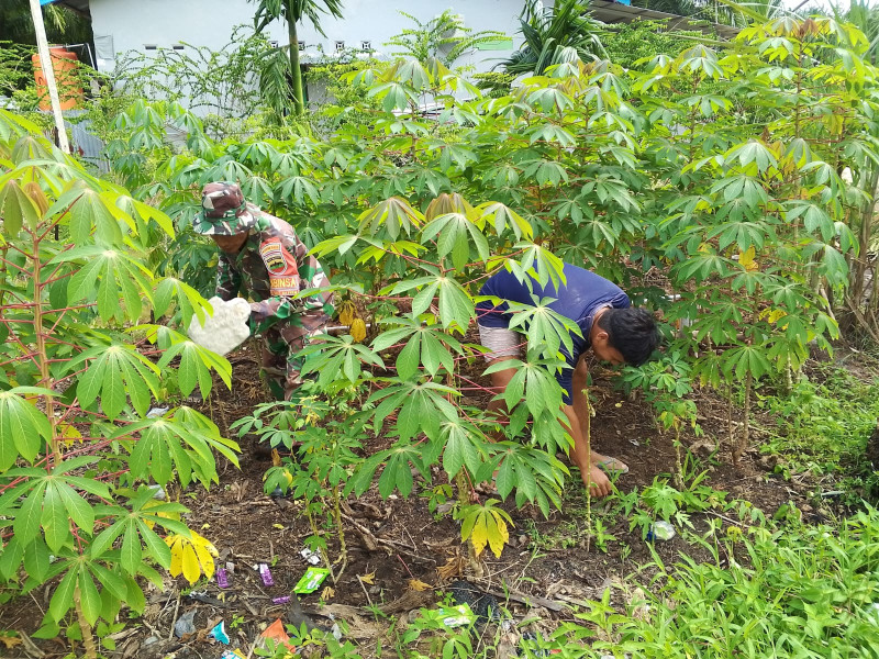 Babinsa Koramil-01/Dumai Laksanakan Giat Pertanian di Dumai Timur