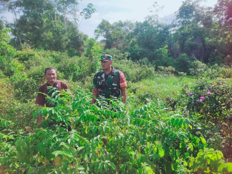 Patroli Karhutla Babinsa Sasar Lahan Kosong Milik Warga