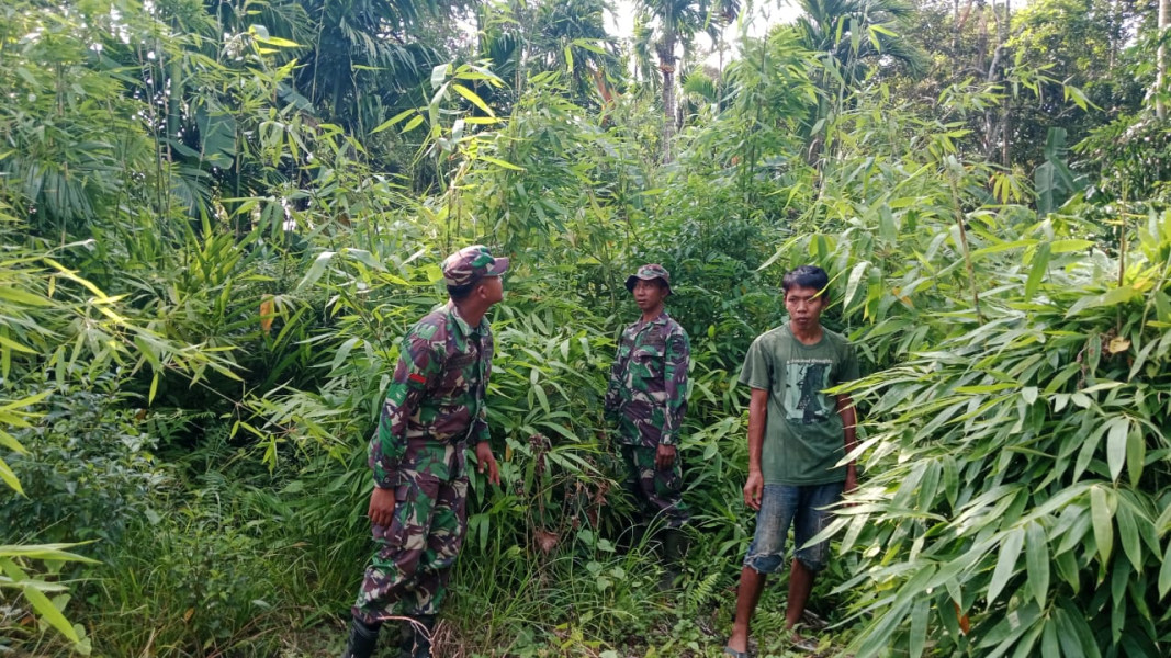 Rutinitas Babinsa Koramil 06 Merbau Berpatroli dan Sosialisakan Larangan Membakar Lahan dan Hutan