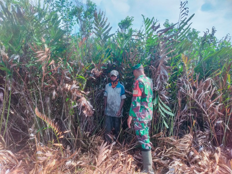 Siaga Karhutla di Pulau Merbau, Babinsa dan Warga Sisir Lahan Gambut