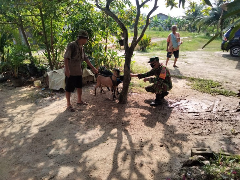 Sertu Sugianto Sampaikan Ini Kepada Peternak di Wilayah Binaannya