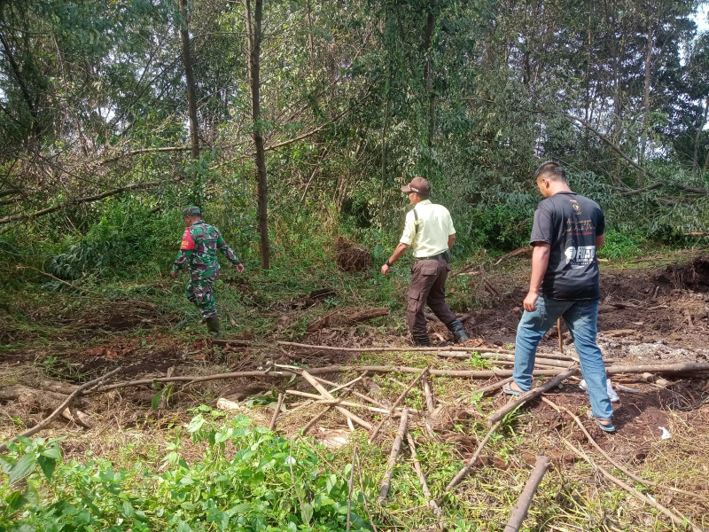 Sertu Sareh Himbau Jangan Buka Lahan Dengan Cara Membakar