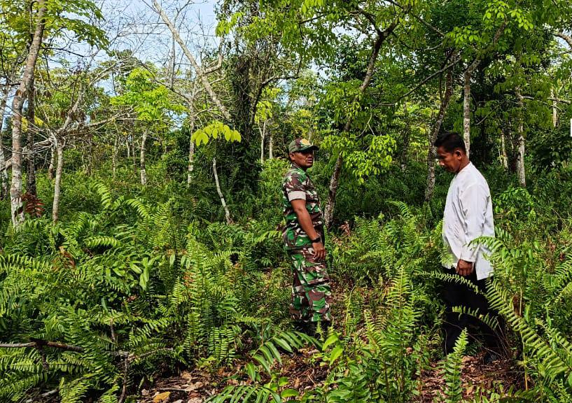 Babinsa Koramil 06/Merbau Intensifkan Patroli Karhutla di Lahan Gambut Desa Pelantai