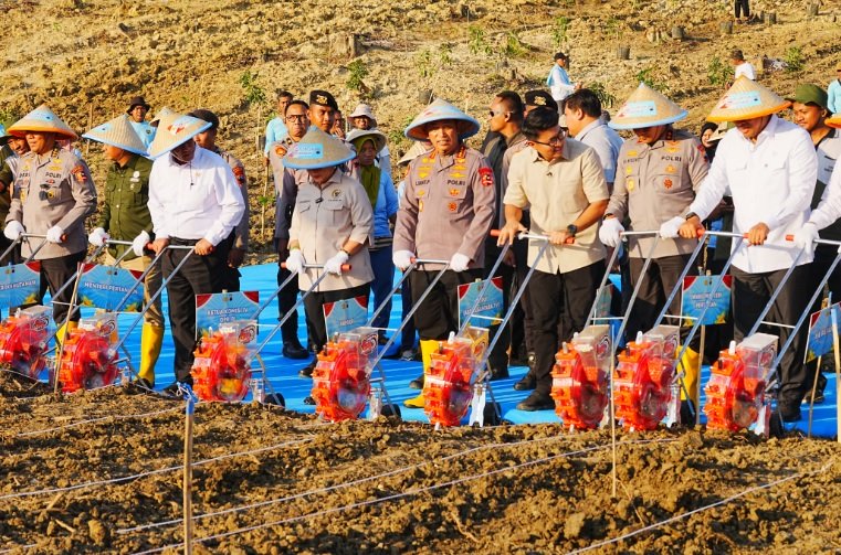 Tanam Jagung Serentak, Jenderal Sigit: Polri Siap Kawal Kedaulatan Pangan