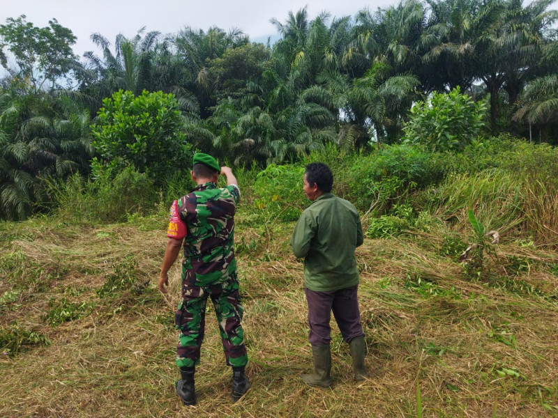 Kolaborasi Babinsa dan Masyarakat Untuk Cegah Karhutla di Dumai Selatan