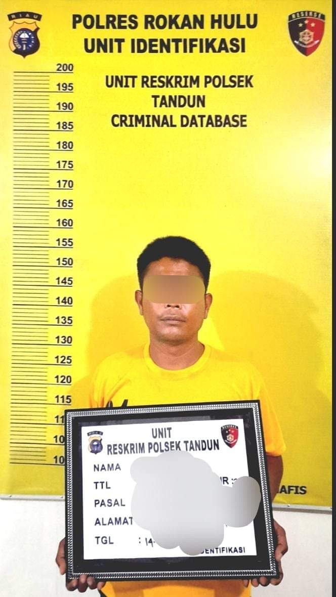 Terlibat Kasus Narkotika, Oknum Security PT SPR Ditangkap Personil Polsek Tandun