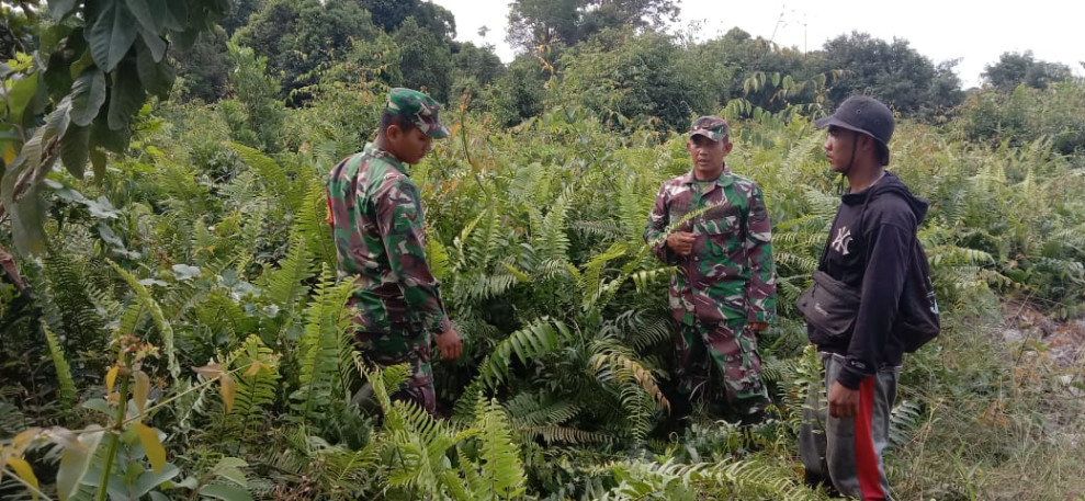 Patroli Wilayah Cegah Karhutla Dilakukan Babinsa Koramil 06/Merbau