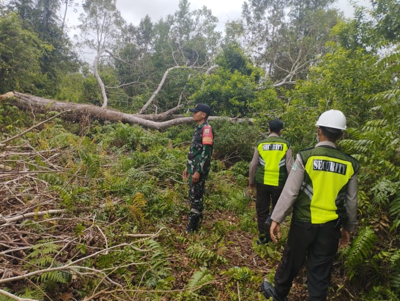Patroli Rutin Pencegahan Kebakaran Hutan di Tasik Putri Puyu