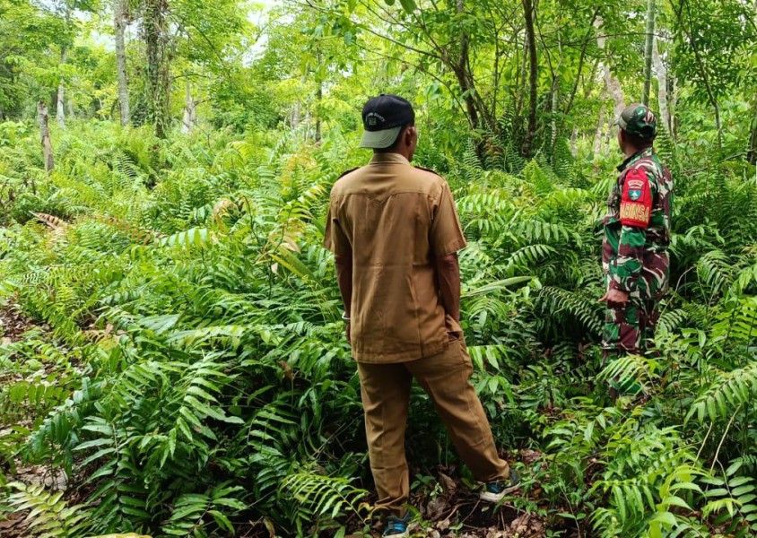 Patroli Karhutla Berjalan Aman, Desa Pelantai Terpantau Bebas Asap