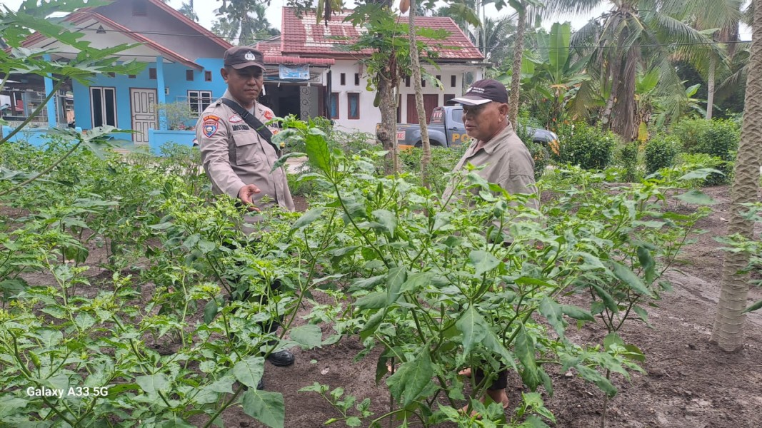 Sinergi Polri dan Petani Wujudkan Ketahanan Pangan Lewat Pekarangan Bergizi