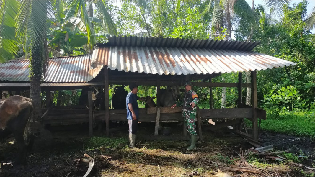 Babinsa Koramil 03 Sampaikan Pesan Agar Kandang Ternak Selalu Dibersihkan