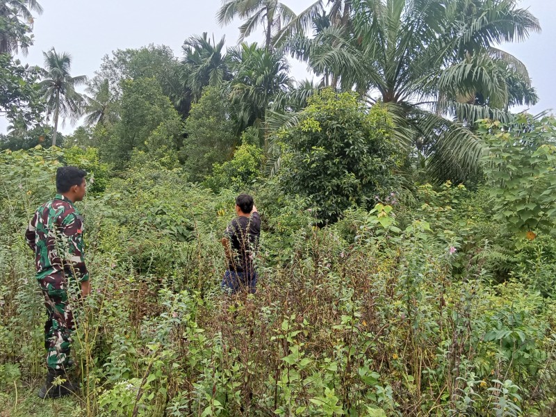 Patroli Rutin Babinsa Cegah Kebakaran Hutan dan Lahan di Kepulauan Meranti