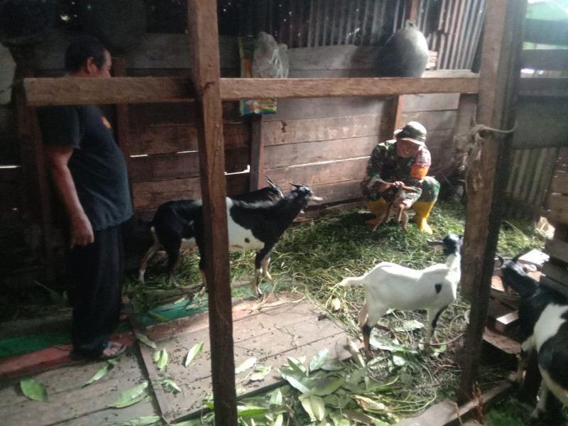 Peternak RT 05 Dapatkan Pembekalan Dari Serda Priyo