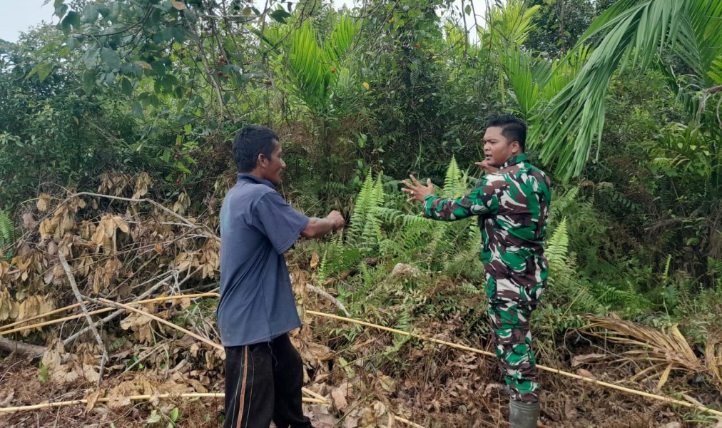 Babinsa Merbau Siaga Penuh, Lahan Rawan Karhutla Dipantau Ketat