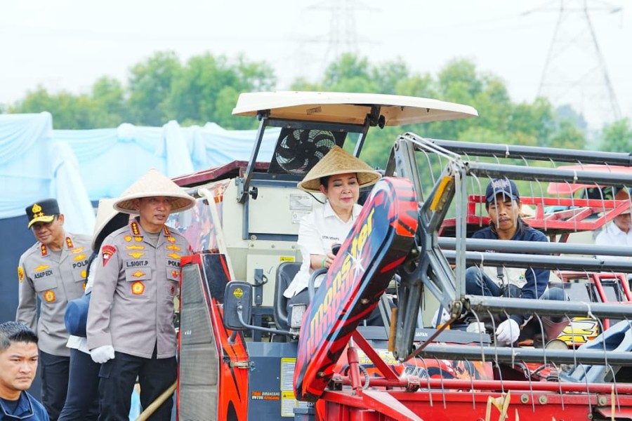 Dukung Ketahanan Pangan Nasional, Polda Sumut dan Polres Jajaran Ikuti Panen Raya Jagung Serentak Polri
