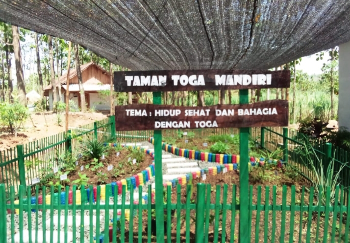 IIKP Mantingan Kembangkan Tanaman Toga Dan Tanaman Langka