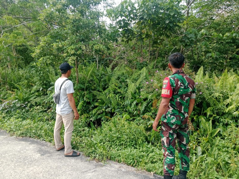 Antisipasi Kebakaran Lahan, Babinsa Koramil 06/Merbau Pantau Area Gambut dan Embung di Mengkirau